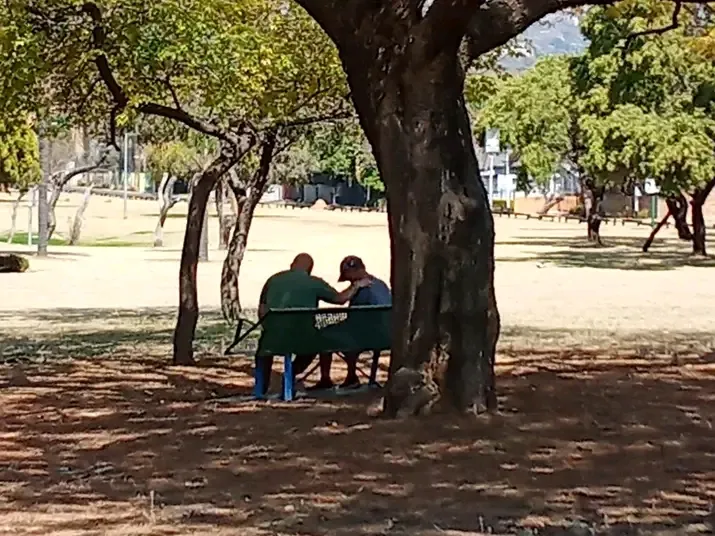 Two elderly men sitting together on a blue park bench under a tree, sharing a quiet conversation